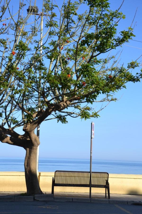 레토이아니 I Tesori Del Mare B&B 외부 사진